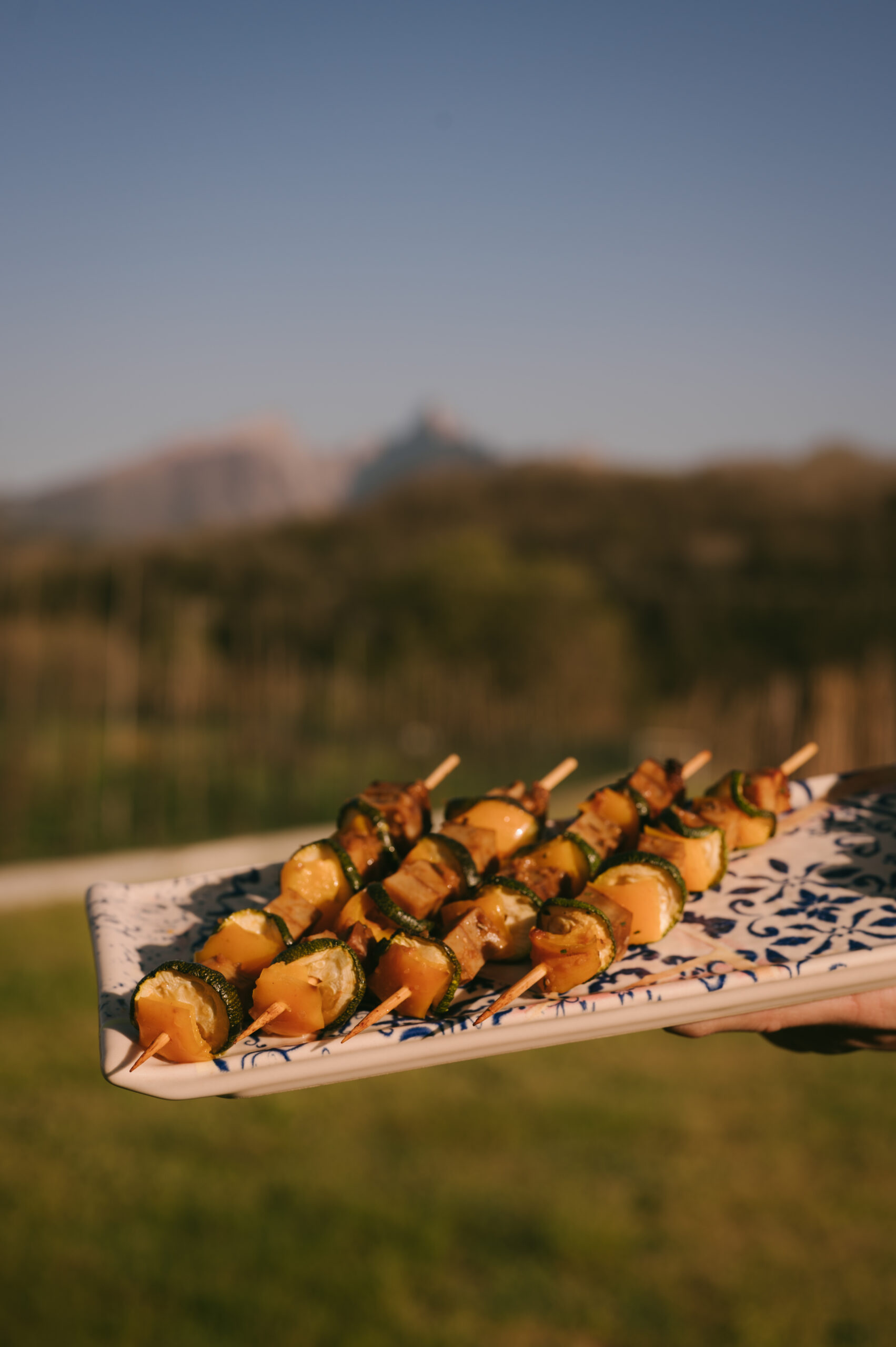 Spiedini di Seitan con patate prezzemolate Spiedini di seitan e patate